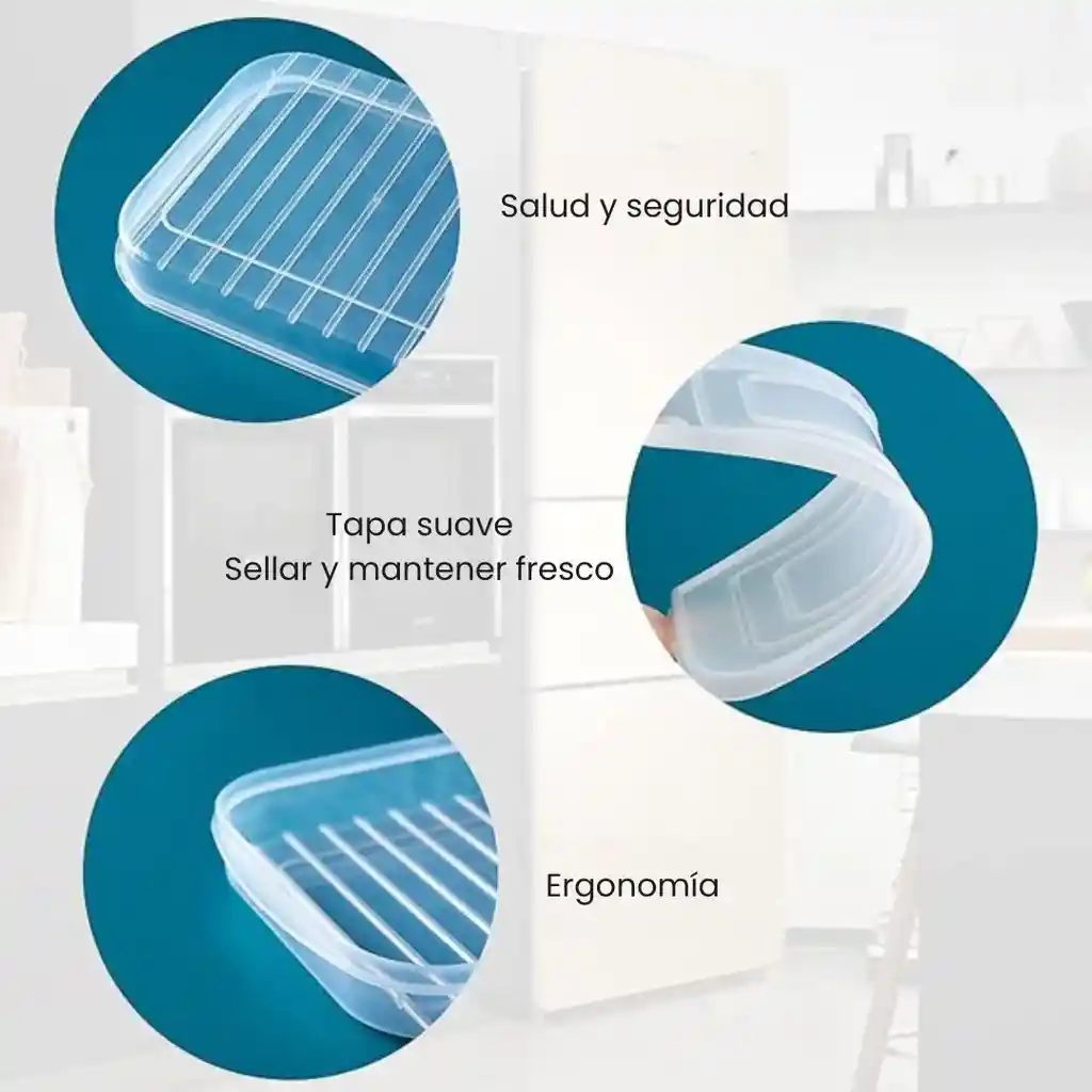 Contenedor De Carnes Frías