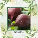 4.000 Semillas Orgánicas De Remolacha