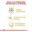 Royal Canin Chihuahua Adulto 1.14 Kg