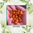 17 Semillas Orgánicas De Tomate Cherry Perla