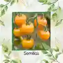 325 Semillas Orgánicas De Tomate Cherry Amarillo