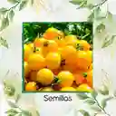 325 Semillas Orgánicas De Tomate Cherry Amarillo
