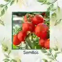 200 Semillas Orgánicas De Tomate Marglover