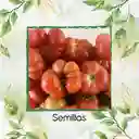 75 Semillas Orgánicas De Tomate Riñón