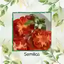 3.000 Semillas Orgánicas De Tomate Riñón