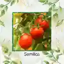 50 Semillas Orgánicas De Tomate Santa Clara