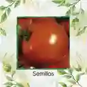 50 Semillas Orgánicas De Tomate Santa Clara