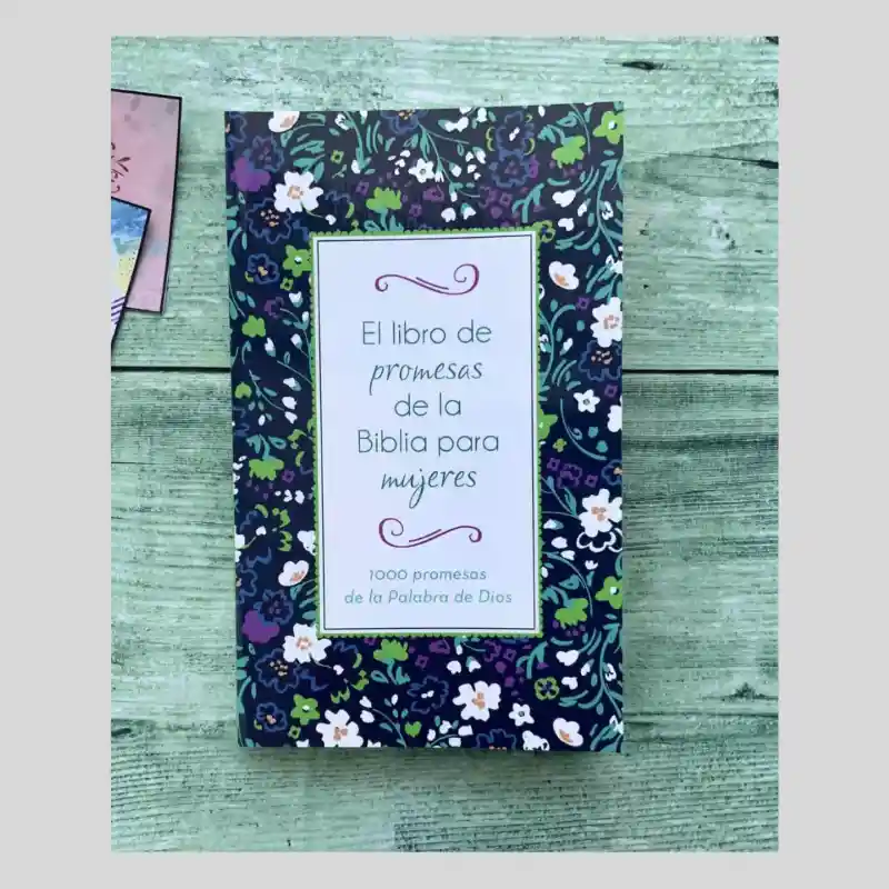 Devocional El Libro De Promesas De La Biblia Para Mujeres