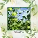 1.000 Semillas Orgánicas De Tomatillo Tomate Mexicano
