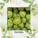 1.000 Semillas Orgánicas De Tomatillo Tomate Mexicano