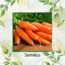 8.000 Semillas Orgánicas De Zanahoria Nantes Baby