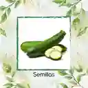 15 Semillas Orgánicas De Zucchini Enano