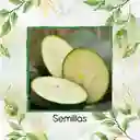 15 Semillas Orgánicas De Zucchini Enano