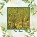 15.000 Semillas Orgánicas De Ajonjolí