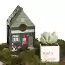 Matera Familia Con Suculenta Empaque Casita