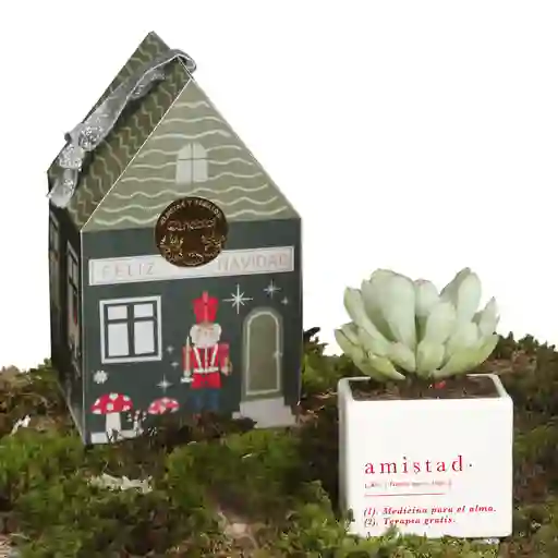 Matera Amistad Con Suculenta Empaque Casita