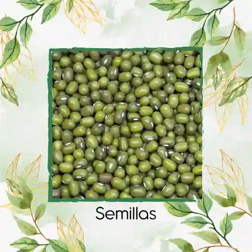 16.000 Semillas Orgánicas De Frijol Mungo