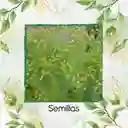 3.400 Semillas Orgánicas De Linaza