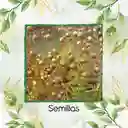 3.400 Semillas Orgánicas De Linaza