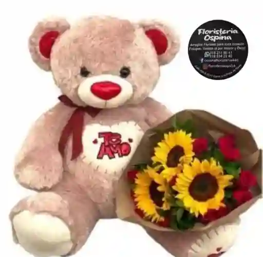 Oso Girasol