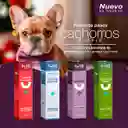 Kit Primeros Pasos Cachorro Purple Lulopet