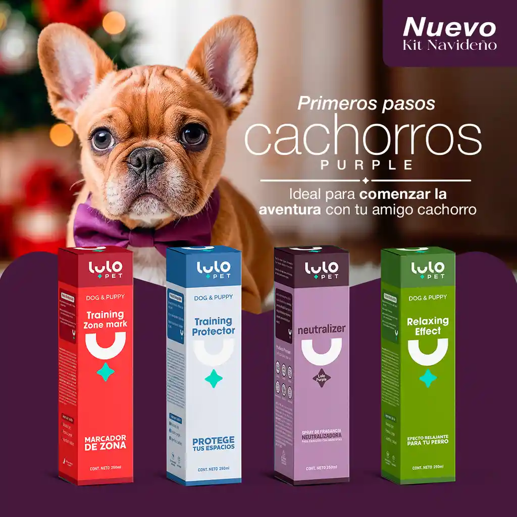 Kit Primeros Pasos Cachorro Purple Lulopet