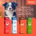 Kit Primeros Pasos Cachorro Orange Lulopet