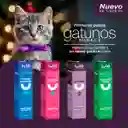 Kit Primeros Pasos Gatunos Purple Lulopet