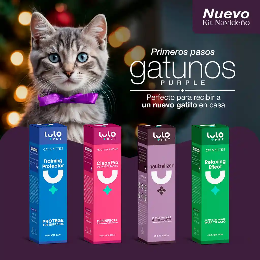 Kit Primeros Pasos Gatunos Purple Lulopet