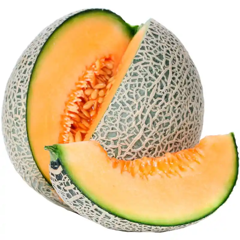 Melon