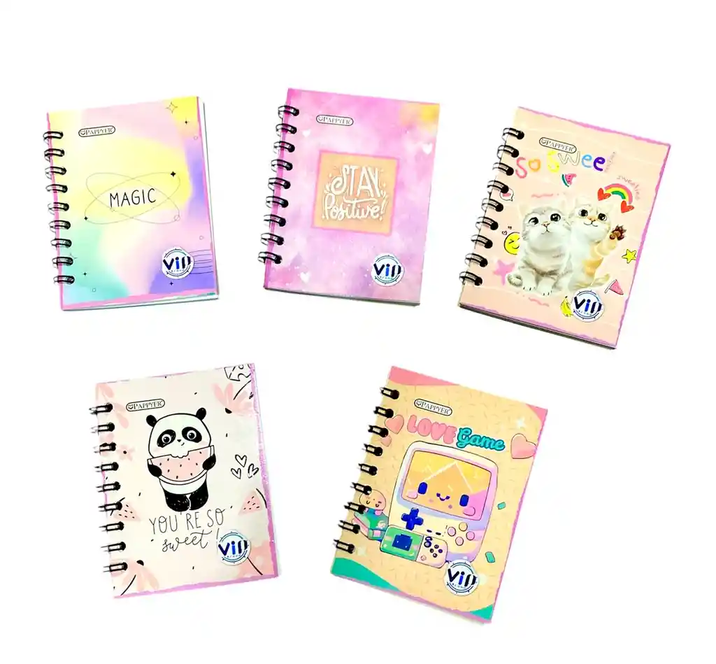 Cuaderno Mini Agenda Argollado Dama 70 Hojas Cuadriculadas Surtidas