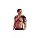Arnés Erotico Gladiador Maximo Hentai