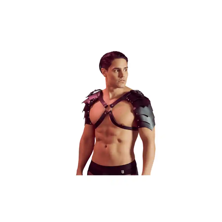 Arnés Erotico Gladiador Maximo Hentai