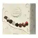 Gudrún Selección Premium De Chocolates Belgas - Deliciosos, Caja Blanca, 16 Porciones (2 Por Sabor) 454 G / 16 Oz