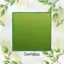 15.000 Semillas De Grama Decorativa Bermuda Grass