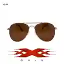 Gafa De Sol Piloto Dxix
