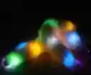 Plug Zorro Luz Led