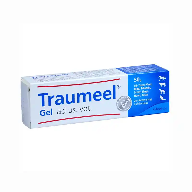 Traumeel Gel