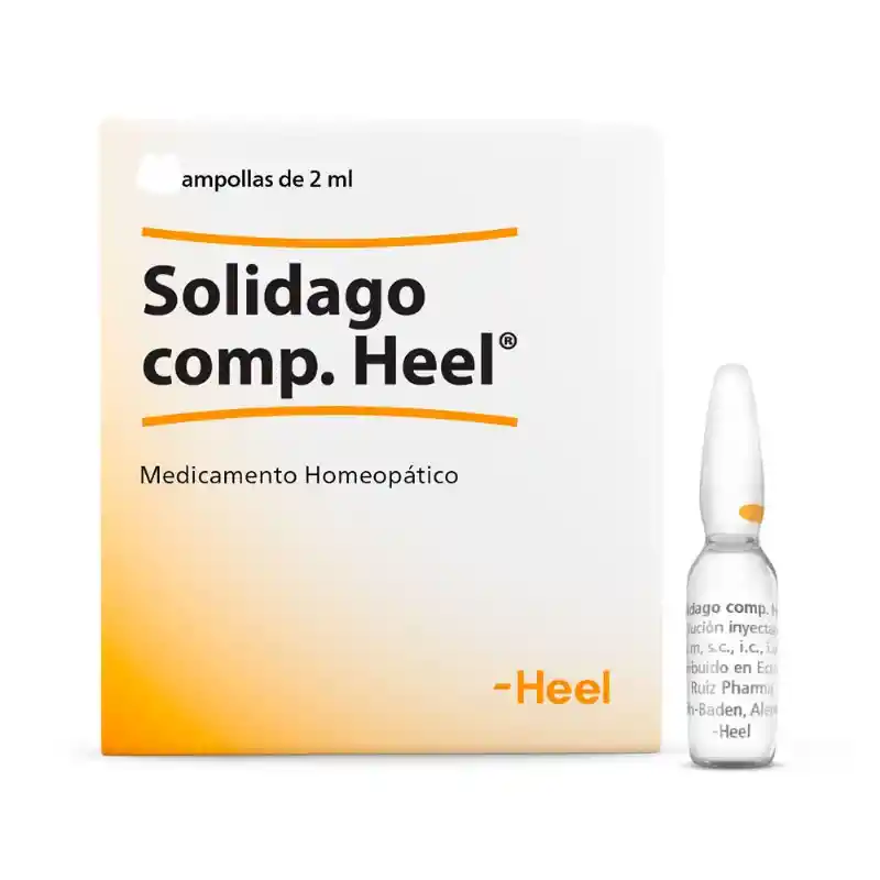 Solidago Heel Vet Ampolla X 2.2 Ml