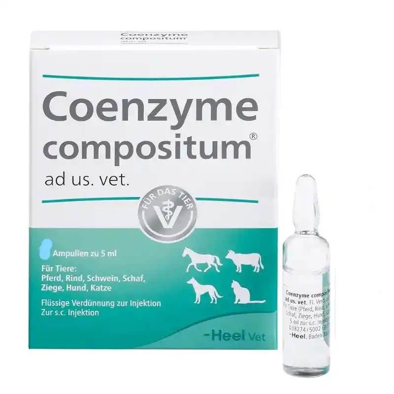 Coenzyme Compositum Heel Vet Ampolla X 5ml