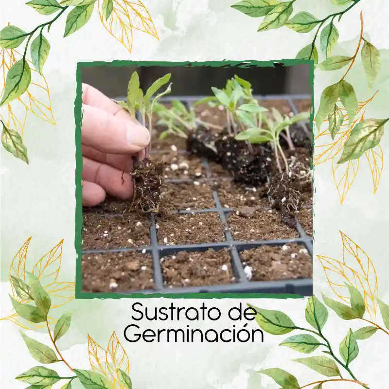 8 Litros De Sustrato De Germinación