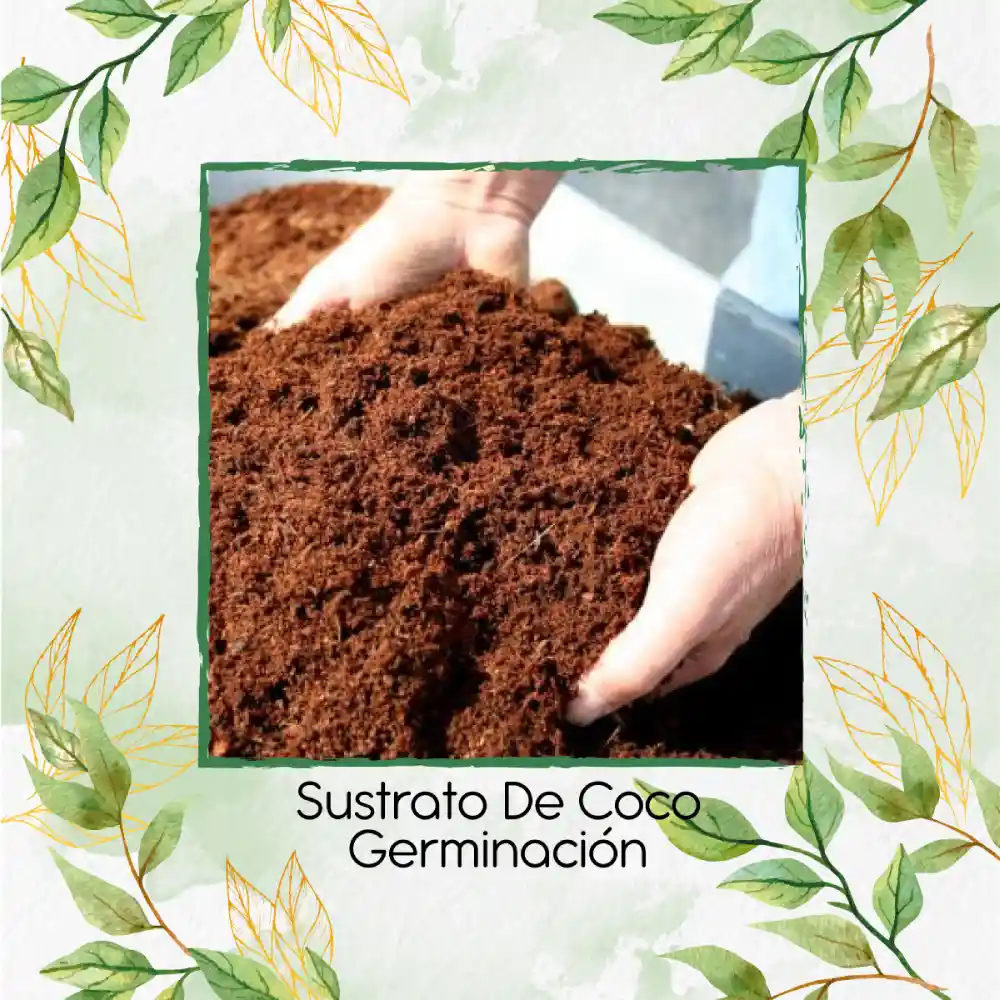 16 Litros De Sustrato De Coco Germinación