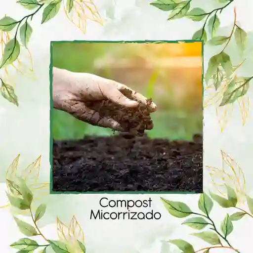 Compost Micorrizado X 8 Litros