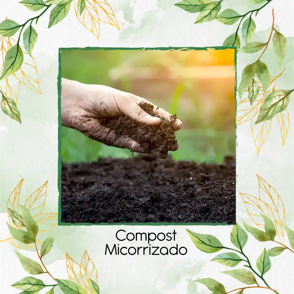 Compost Micorrizado X 8 Litros