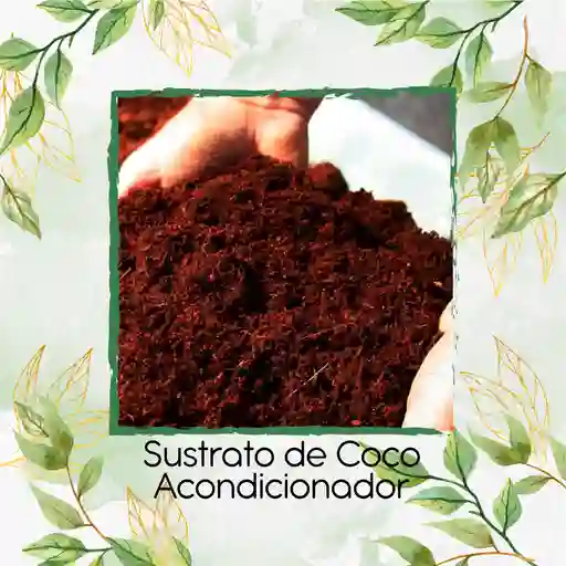 Sustrato De Coco Acondicionador X 8 Litros