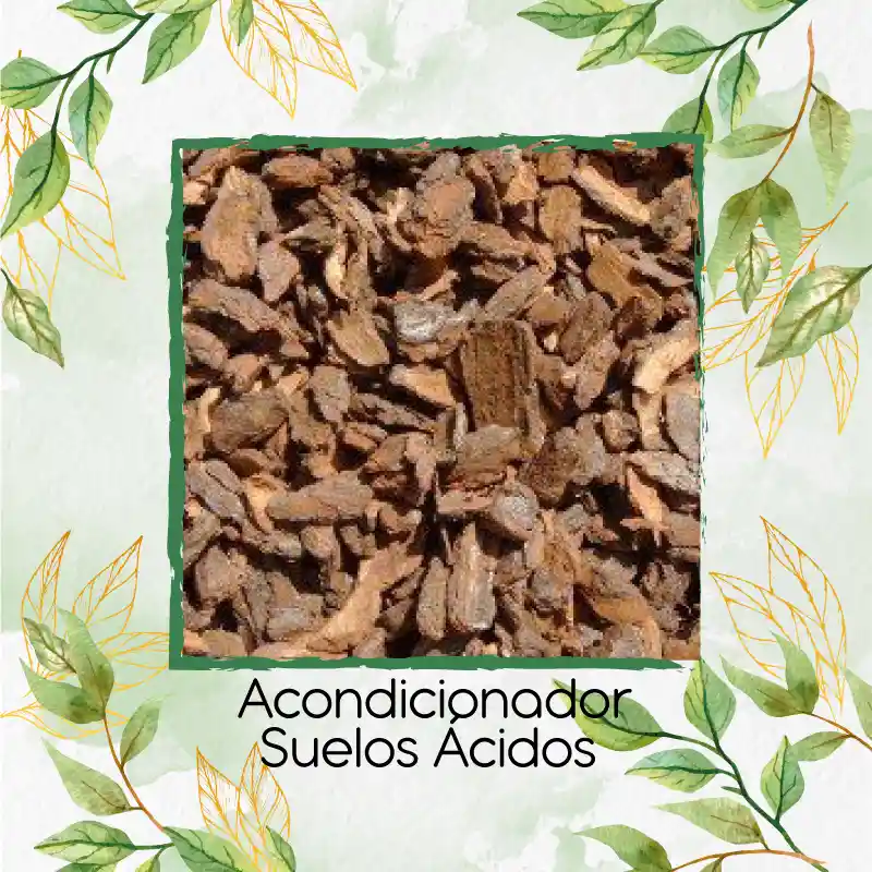 Acondicionador Suelos Ácidos X 8 Litros