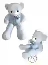 Peluche Oso Azul Pastel
