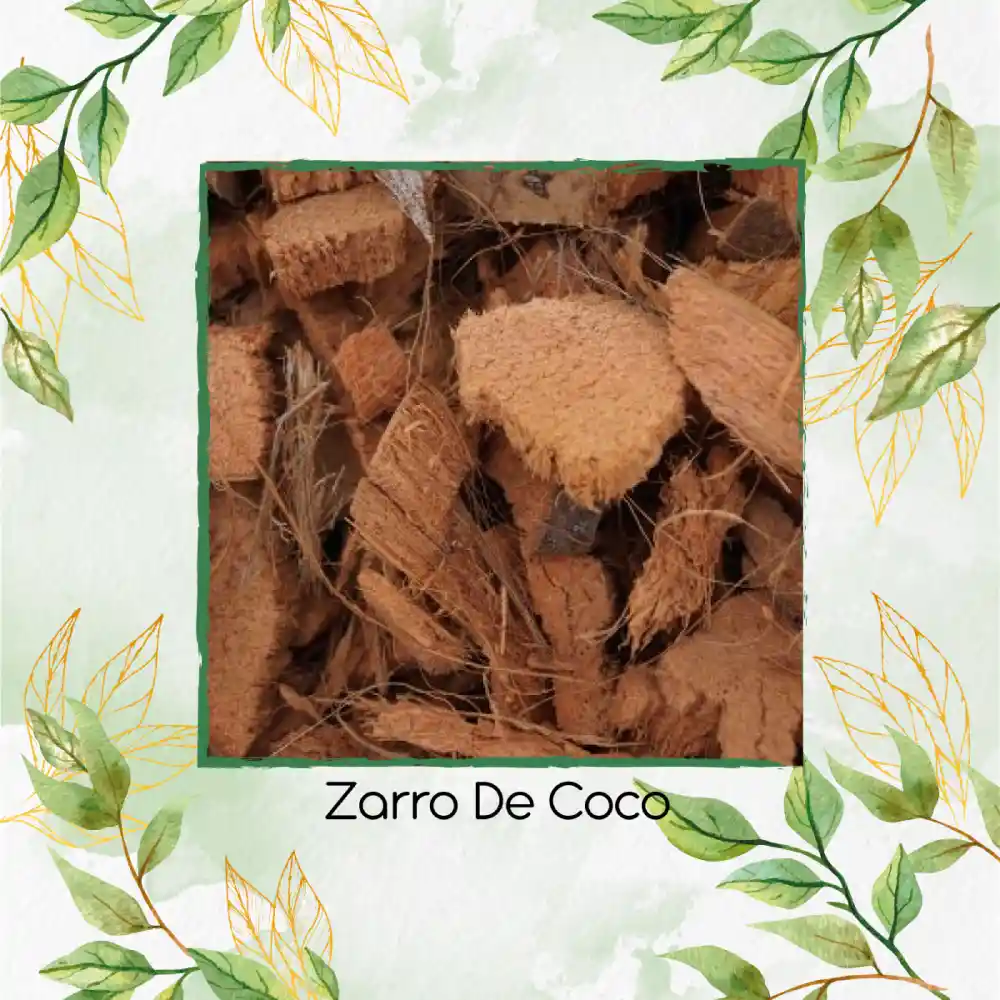 Zarro De Coco X 8 Litros