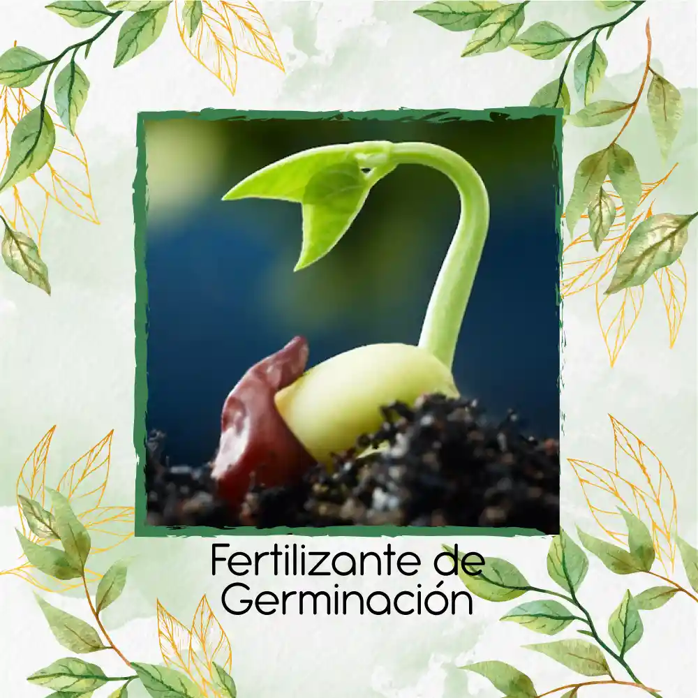 Fertilizante De Germinación X 60 Ml