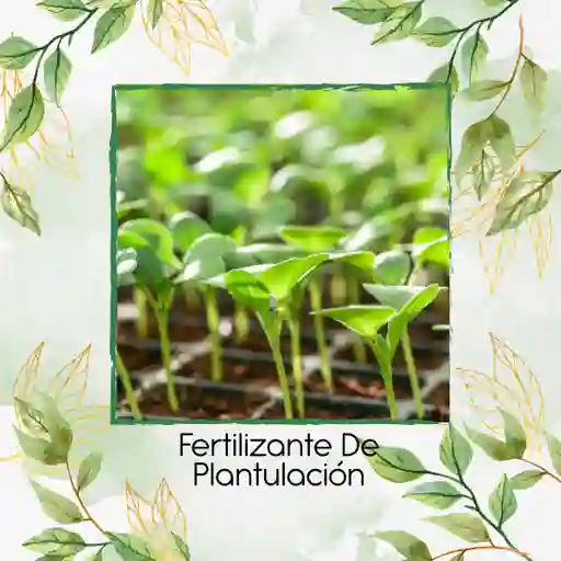 Fertilizante De Plantulación X 120 Ml